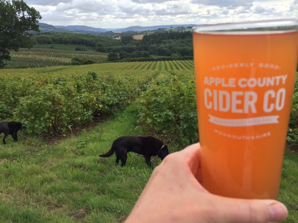 The Fruits of Our Labour... Apple County Cider